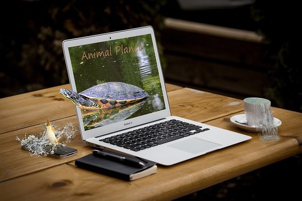 Importance et fonctionnement du paiement des impôts